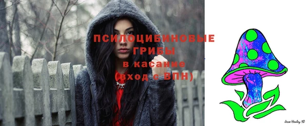 шишки Покров