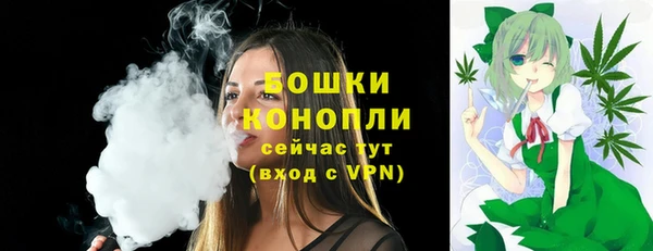 шишки Покров