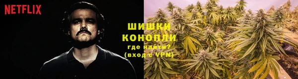 шишки Покров