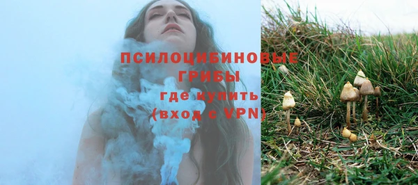 шишки Покров
